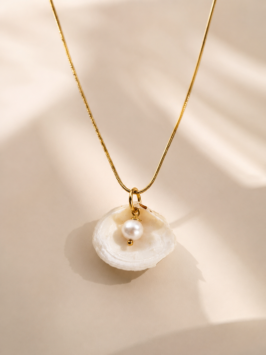 Treasure 001